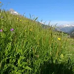 Apartman Haus Brunneck *