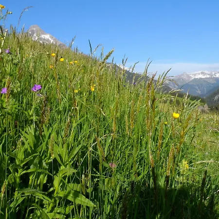 アパート Haus Brunneck *