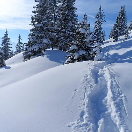 アパート Haus Brunneck *