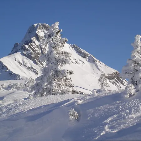 アパート Haus Brunneck *